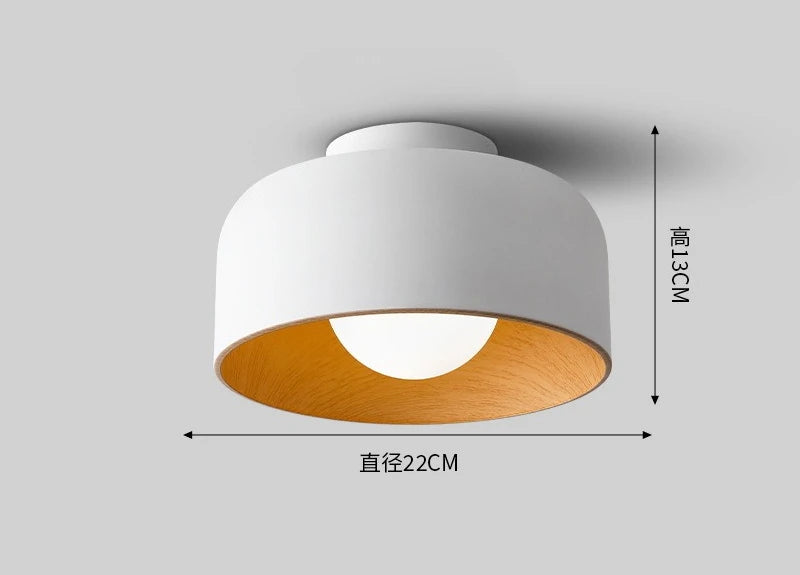 Elio Ceiling Light
