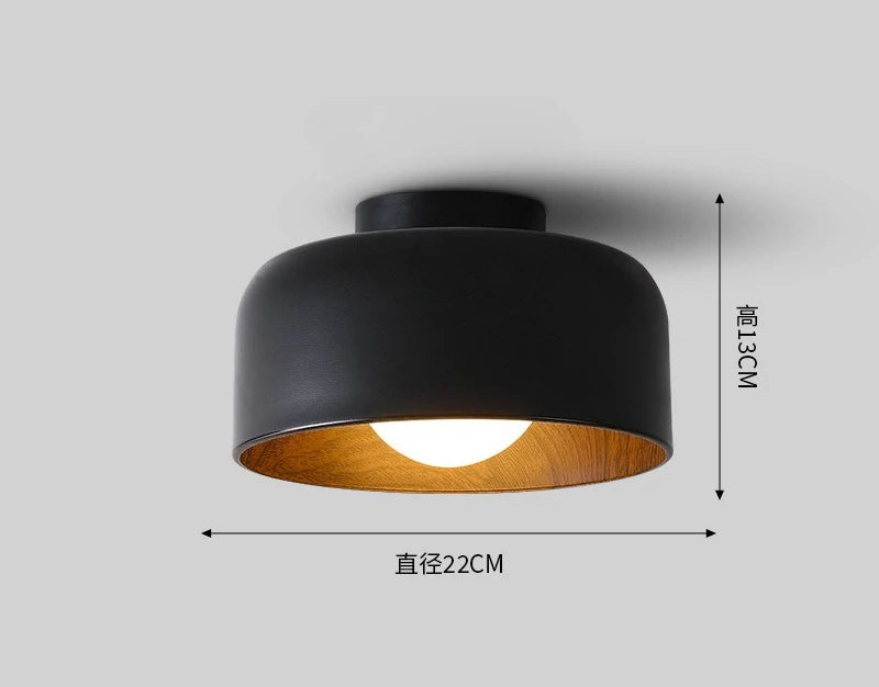 Elio Ceiling Light